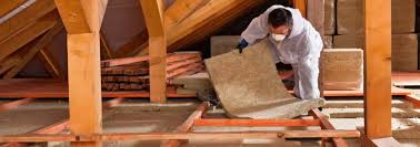 Best Insulation for Existing Homes  in Ocoee, FL